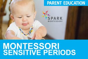 Spark Montessori Parent Education