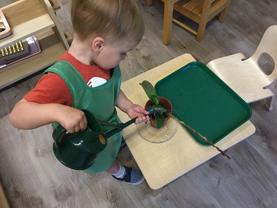 Learning Independence at Spark Montessori