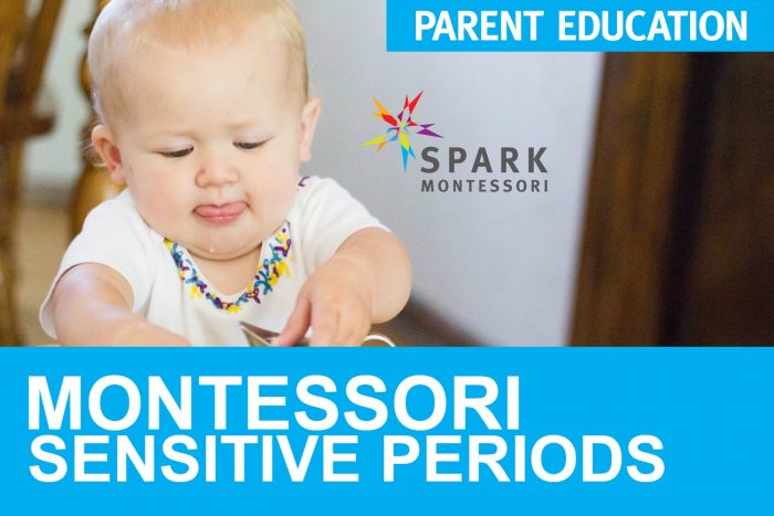 Our Past Seminars Spark Montessori